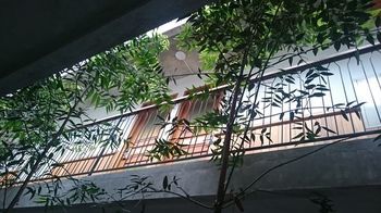 Oliver'S Hostelry Bandung Esterno foto